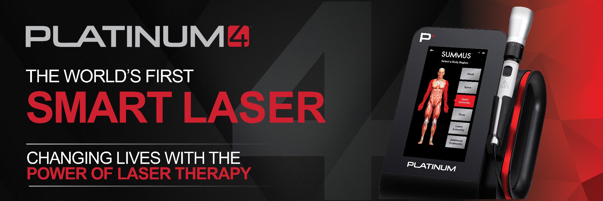 Platinum_Web_Page_P4