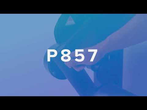 SportsArt P857 Leg Extension