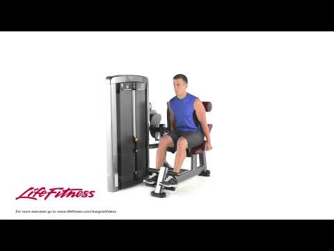 Life Fitness Insignia Series Back Extension
