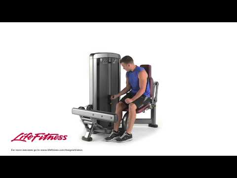 Life Fitness Insignia Series Calf Extension