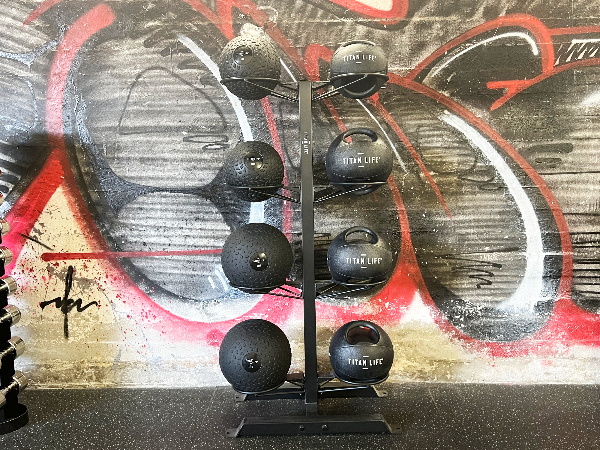 TITAN LIFE PRO Wall Ball Rack
